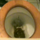 A European video featuring a woman rushing into a bathroom and sitting on a toilet just in time before dumping the entire load in her pants. The shit starts sliding out of her before her ass even touches the toilet seat! Good audio, too!